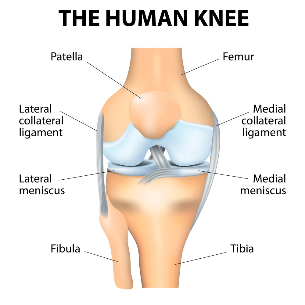 Medial Collateral Ligament (MCL) Sprain - Los Angeles, CA - Dr